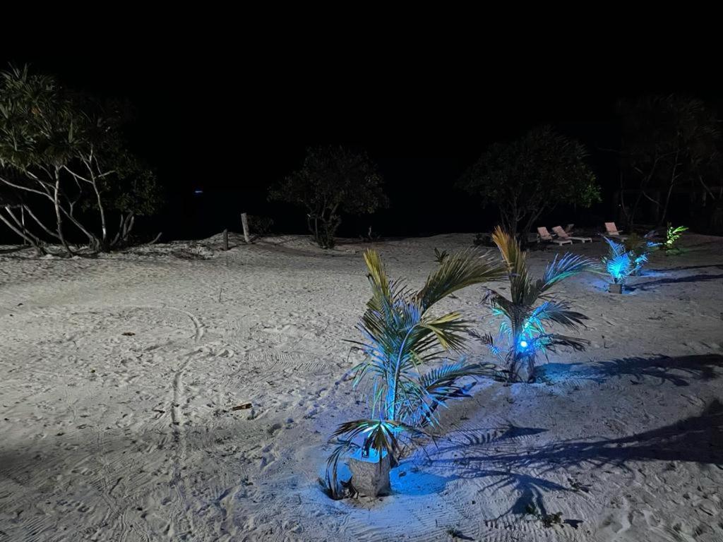 Jambo Beach Hotel Paje Luaran gambar
